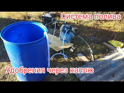 Видео: Капельный полив клубники, как вносить удобрения через капельный полив