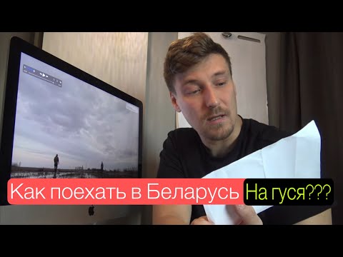 Видео: Как поехать на гуся в Беларусь