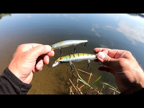 Видео: Какой Китайский Орбит ЛУЧШЕ ? WALK FISH или Bearking ORBIT 110 Воблеры с алиэкспрэсс.