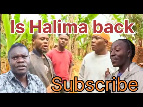 Видео: Срочные новости!!! Халима вернулась//правда о Рио@Дэви-младшем.