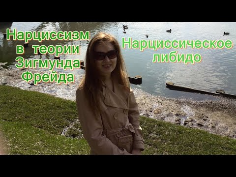 Видео: Нарциссическое либидо. Нарциссизм в теории З. Фрейда