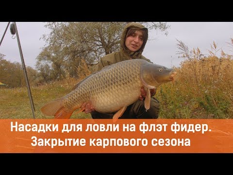 Видео: Насадки для ловли на флэт фидер. Закрытие карпового сезона