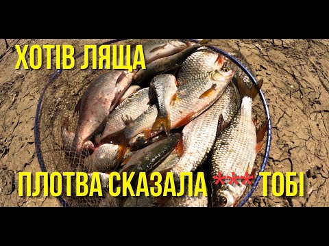 Видео: ПЛОТВА ВСЕ ВИРІШИЛА ЗА МЕНЕ!!!! ЯК зловити плотву на Дністрі? Рибалка на Буковині