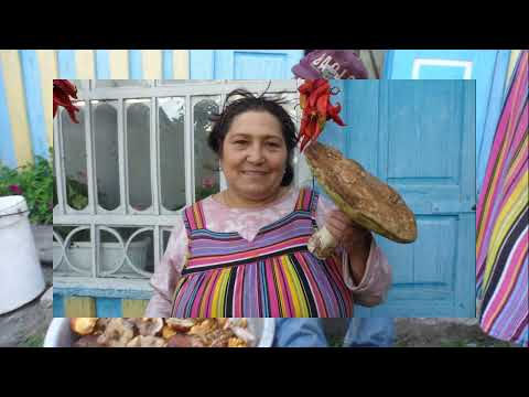 Видео: Дякую що ви в мене є 2013рік село Будо бобриця