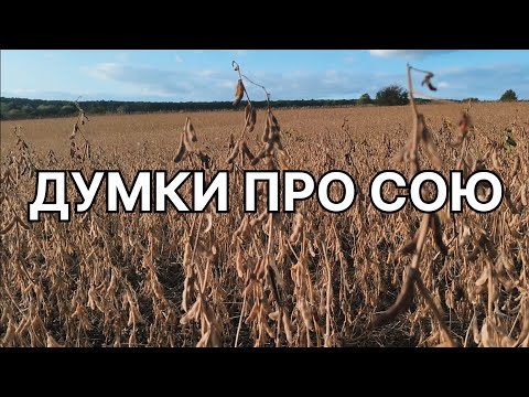 Видео: Думки про сою, PS0035, 2025