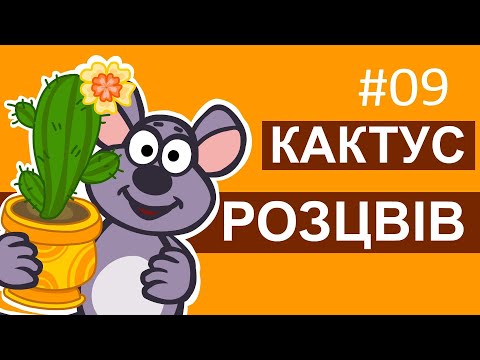 Видео: Мультсеріал Пригоди лісових друзів – Кактус розцвів