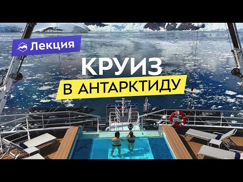 Видео: В Антарктиду на круизном лайнере. Как туда попасть? Кого можно встретить на краю света?