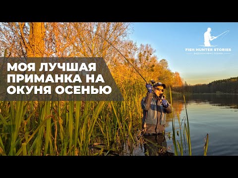 Видео: Лучшая ПРИМАНКА на окуня осенью | Как наловить КРУПНЫХ окуней | Рыбалка с берега на СПИННИНГ осенью