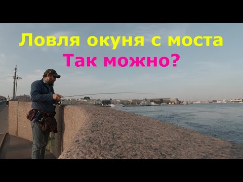 Видео: #433 #streetfishing | Окунь под мостом |
