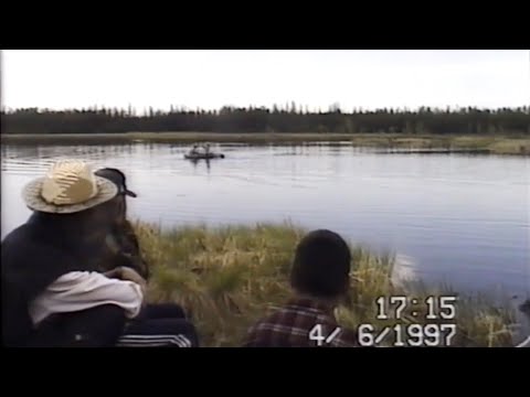 Видео: 1997 с. Т.Н.Григорьева сал. Элгээйи орто оскуолатын биологическай кылааһын сайыҥҥы практиката