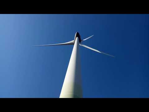 Видео: Рыбалка на Дунае 2, 3 октября 2020. Румынский рыбнадзор.