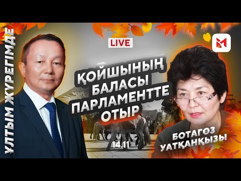 Видео: Моңғолия қазағын кім көшірді?