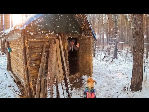 Видео: ПРИШЁЛ В ХИЖИНУ С НОЧЕВОЙ, А ТАМ КТО-ТО ЕСТЬ.