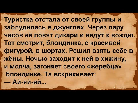 Видео: Про туристку и вождя дикарей... Сборник анекдотов!