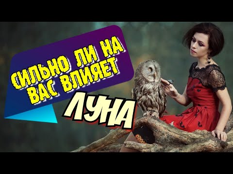 Видео: Как сильно на вас влияет Луна? Тест.