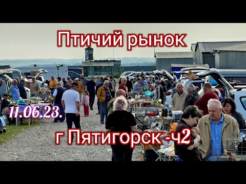 Видео: Голуби цены Птичий рынок г Пятигорск - ч2