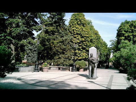 Видео: стрим общение сквер дружбы народов