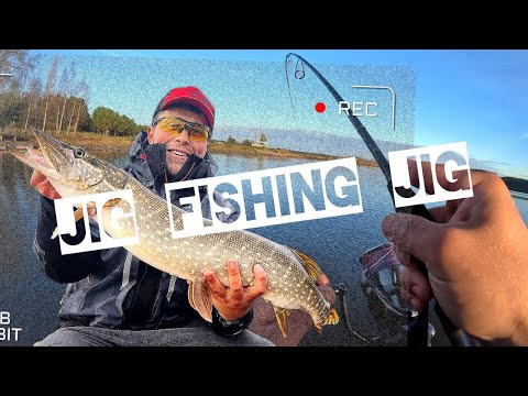 Видео: В ЭТОМ МЕСТЕ КЛЮЕТ С КАЖДОГО ЗАБРОСА! Окуневое эльдорадо 2025. Как ловить на джиг?