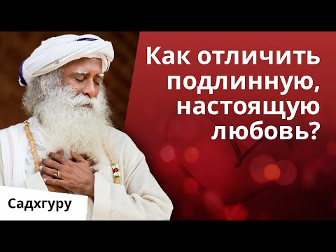 Видео: Влюбляйтесь непрерывно!