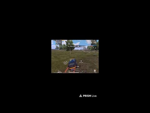 Видео: Прямая трансляция M I K O W 🎀 30