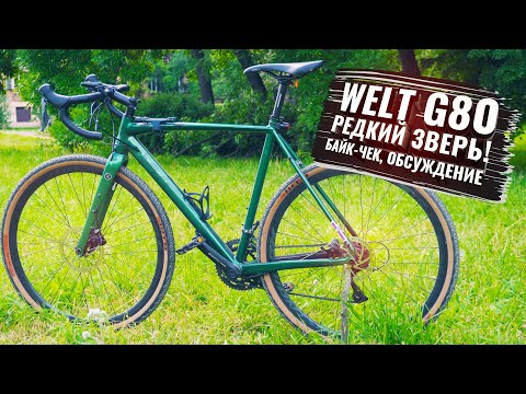Видео: WELT G80. Редкий Зверь! Байк-чек, беседа с владельцем