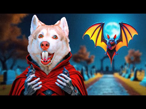 Видео: Я ТЕПЕРЬ ХАСКИ ВАМПИР!! Хаски Бублик Говорящая собака Mister Booble