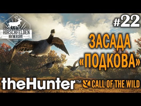 Видео: theHunter call of the wild #22 🔫 - Засада "Подкова" - Ружье + Картечь - Казарка (Гусь)