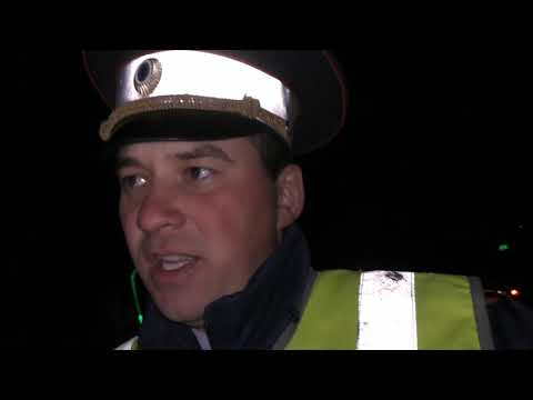 Видео: Нашелся Бык колхозный(племенной) г. Кукмор. Отдадим собственнику(правообладателю) для воспитания.