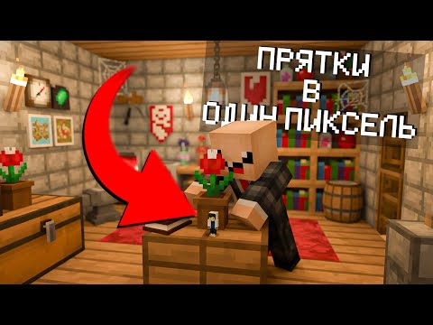Видео: ЗАЧЕМ ОН ТАК ЖОСКО ПРЯЧЕТСЯ??? Прятки в один пиксель в Майнкрафт!!