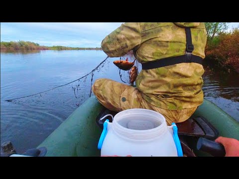 Видео: СЕТЯМИ ЛОВИТЬ РЫБУ РАЗРЕШЕНО НЕ ВСЕМ. РЫБАЛКА НА ТАЁЖНОМ ОЗЕРЕ / ЛОВИМ КАРАСЯ И ОКУНЯ НА ЗИМУ.