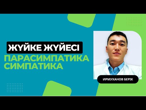 Видео: Жүйке жүйесі | СИМПАТИКА / ПАРАСИМПАТИКА ЖҮЙЕСІ