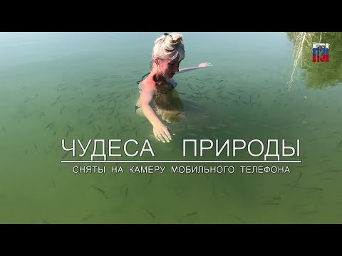 Видео: оз.Чаны, Казанцевский мыс, чудеса природы хорошие и не очень, 2023год.