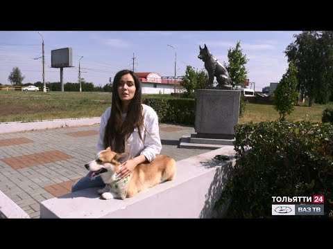 Видео: «Мой Тольятти. Памятник преданности» 19.08.2020