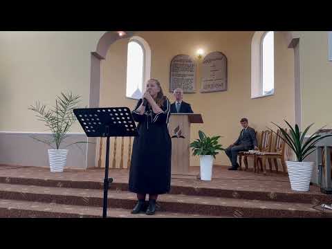 Видео: В тишині