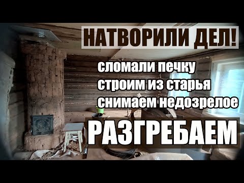 Видео: 46  МЕСЯЦ ЗА ПОЛЧАСА  ЛОМАЕМ, СТРОИМ, УБИРАЕМ, ПОСЛЕДНИЙ УРОЖАЙ.