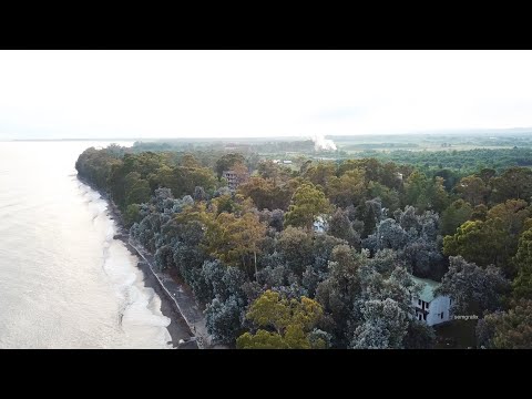 Видео: Обзор пансионата Эвкалиптовая роща, Кындыг, Абхазия