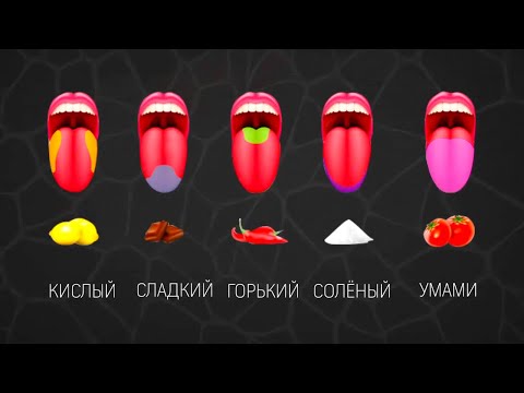 Видео: Как мы чувствуем запахи, вкус, и почему так важно чувство, на которое мы не обращаем внимания