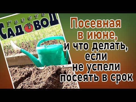 Видео: Посевная в июне, и что делать, если не успели посеять в срок