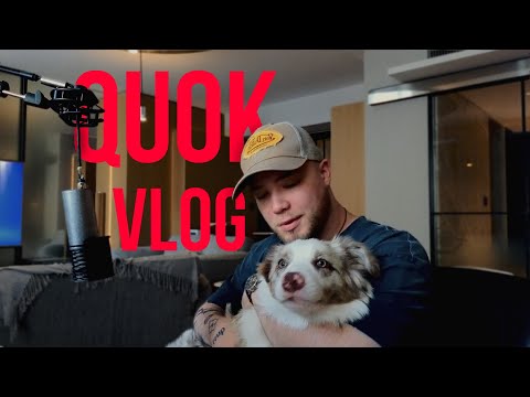 Видео: QUOK VLOG (QTOPIA TOUR, МОРЕ МУЗЫКИ, BANDLINK SHOWCASE, РИДДЛ)