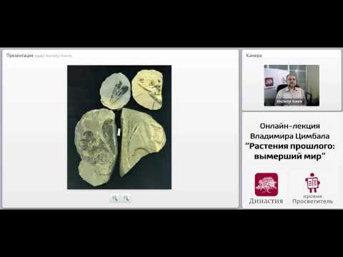 Видео: Лекция Владимира Цимбала «Растения прошлого: вымерший мир»