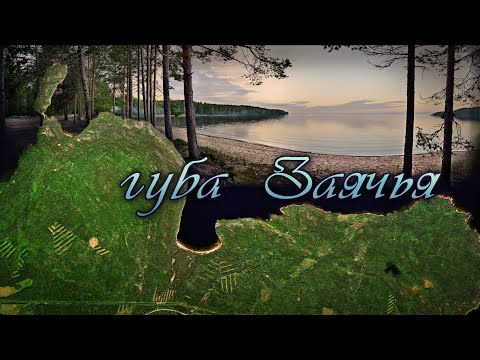 Видео: Отдых. о. Онежское. губа Заячья  2019г