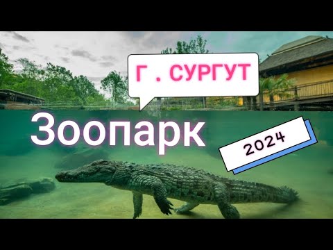 Видео: Зоопарк в Город Сургут