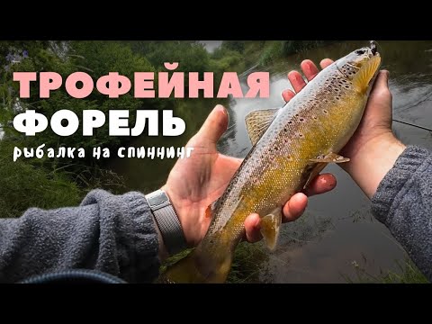 Видео: Дикая ручьевая форель на спиннинг / ТРОФЕЙ ждал под кустом