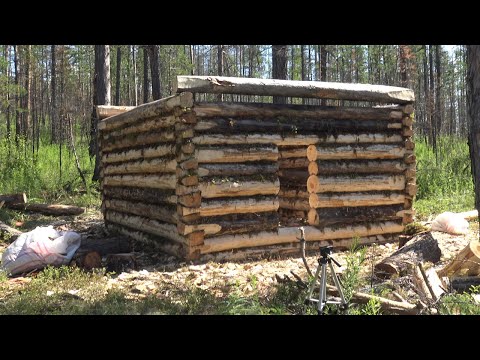 Видео: Строительства зимовья. Советы молодым охотникам. Часть 1