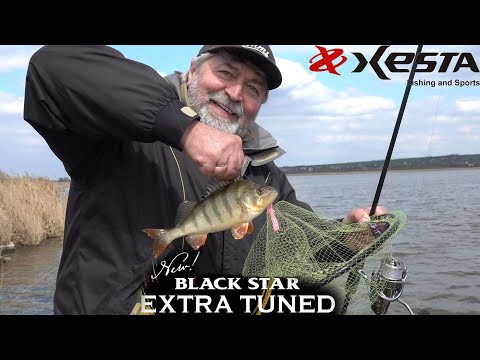 Видео: Ох..умопомрачительный спиннинг Xesta Black Star Extra Tuned S-84MH-T.