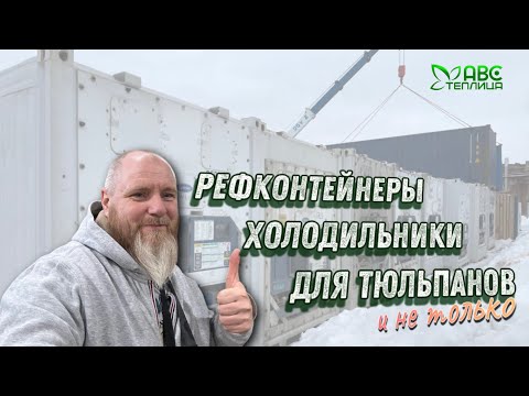 Видео: Холодильник для цветов. Рефконтейнеры. Аренда. #тюльпаны #гидропоника #выгонкатюльпанов #луковицы
