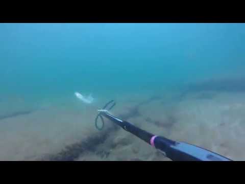 Видео: Кызыл Озен на лево от поселка.  02.10.2018г. Подводная охота. Каспийское море Актау.