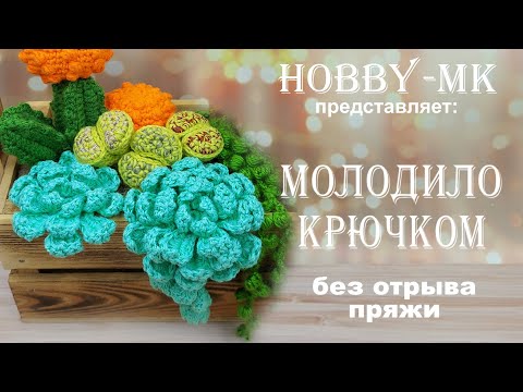 Видео: Молодило крючком без отрыва нити (авторский МК Светланы Кононенко)