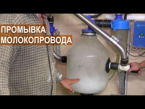 Видео: Промывка доильного оборудования перед дойкой. КФХ Овсянникова.