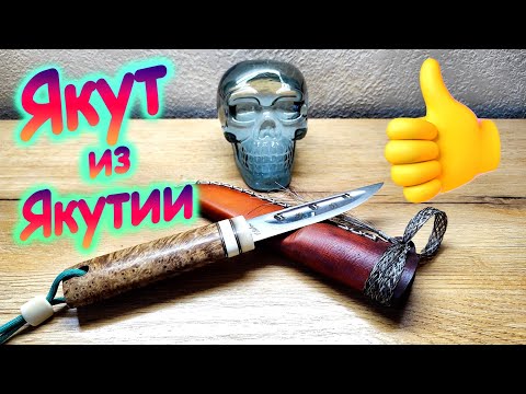 Видео: Якут из Якутии теперь и у меня!!!!!